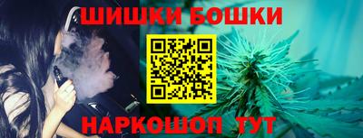 индика Рыбинск