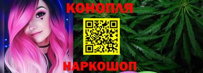 индика Рыбинск