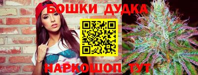 индика Рыбинск