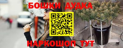 индика Рыбинск
