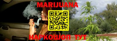 индика Рыбинск